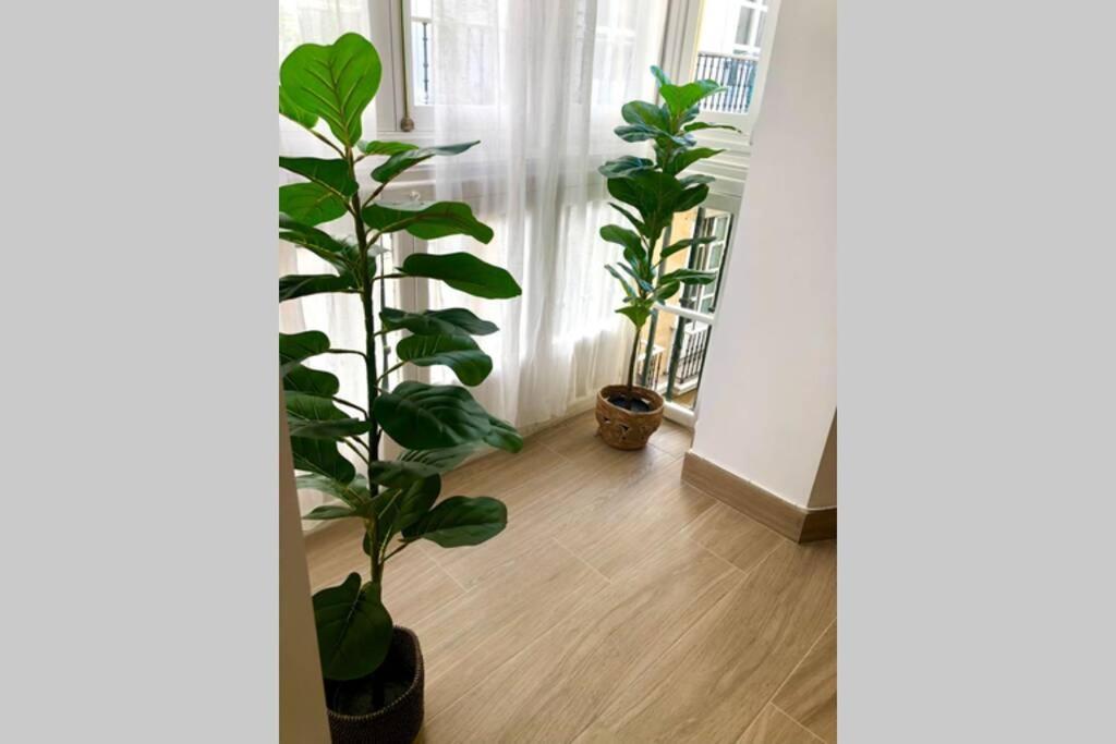 Gatu Premium Villa Libertad, Preferente Mayores De 25 Anos Y Familias 카디스 외부 사진