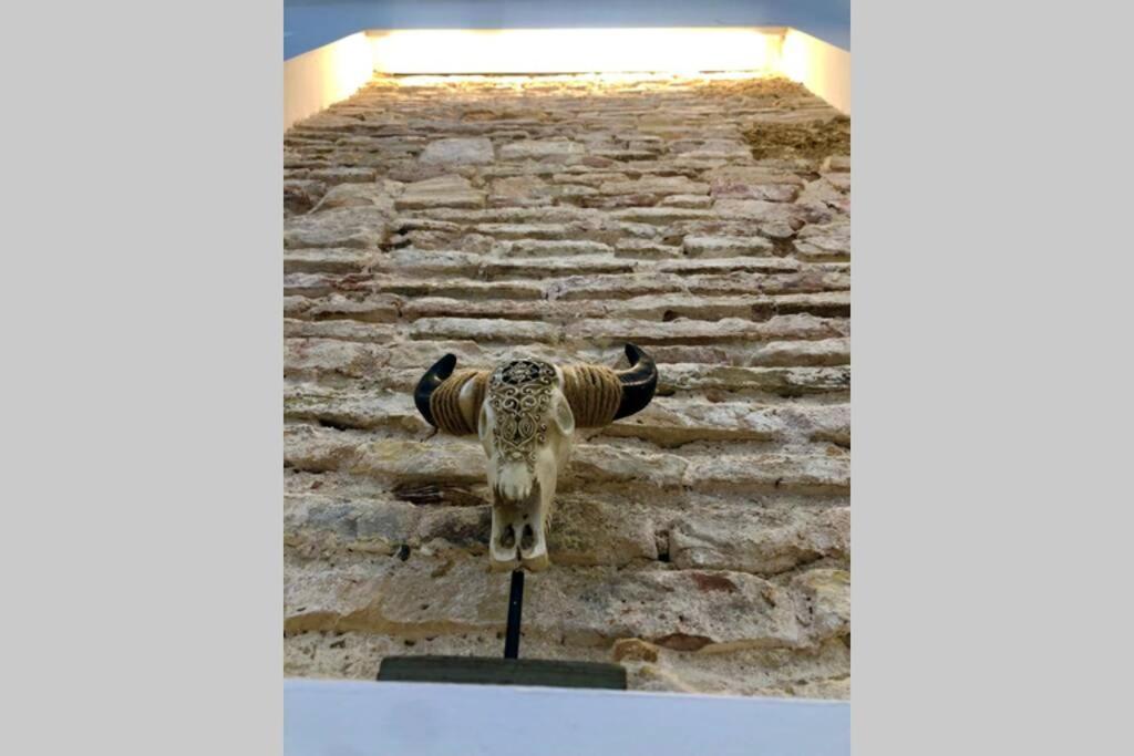 Gatu Premium Villa Libertad, Preferente Mayores De 25 Anos Y Familias 카디스 외부 사진